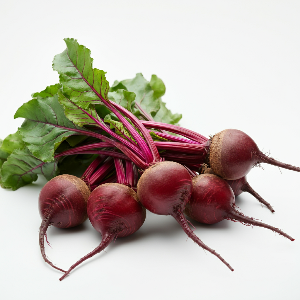 Beets - Babybeat - Mature - Pound