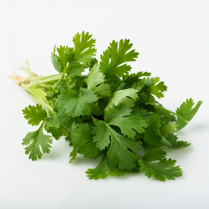 Cilantro - Calypso - Mature Leaves - Pound