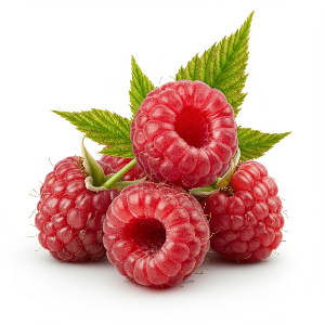 Raspberries - Encore - Potted Plants - plants