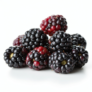 Blackberries - Chester - Bare Roots - Roots