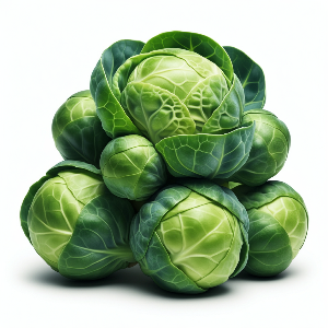 Brussels Sprouts - Dagan - Mature - Pound