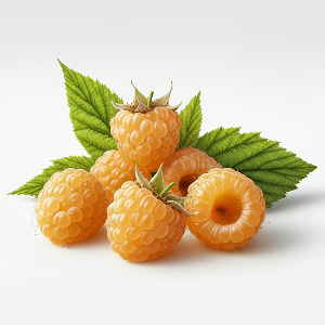 Raspberries - Double Gold - Seedlings / Plugs - plants