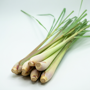 Lemon Grass - Generic Variety - Leaves - Pounds