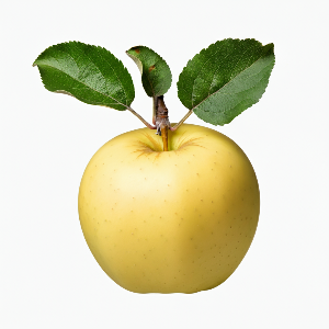 Apples - Golden Delicious - Ripe Fruit - Pounds