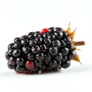 Blackberries - Natchez - Ripe Berries - Pounds